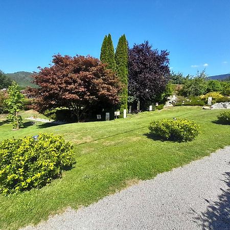 Chalet de Grettery Saulxures-sur-Moselotte Eksteriør billede