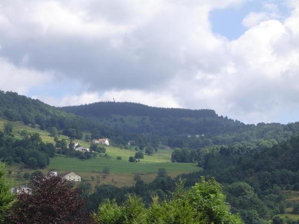 Chalet de Grettery Saulxures-sur-Moselotte Eksteriør billede
