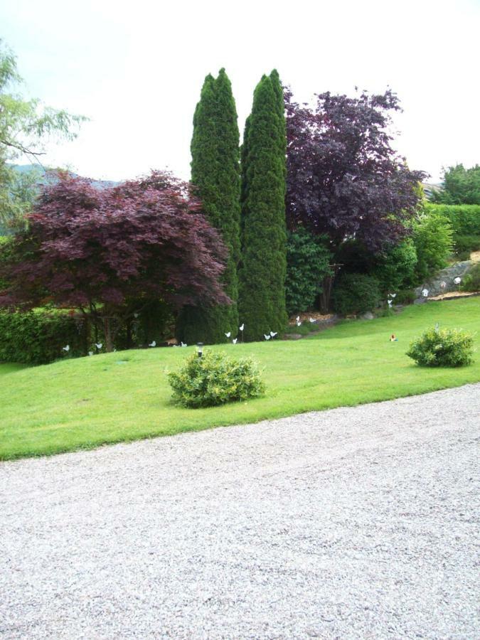 Chalet de Grettery Saulxures-sur-Moselotte Eksteriør billede